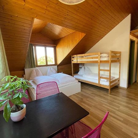 Central Beauty Scenery Apartment อินเทอร์ลาเคน ภายนอก รูปภาพ