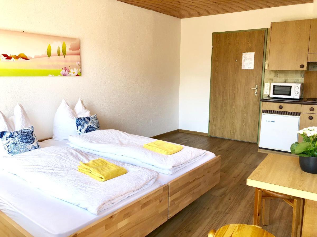 Central Beauty Scenery Apartment อินเทอร์ลาเคน ภายนอก รูปภาพ