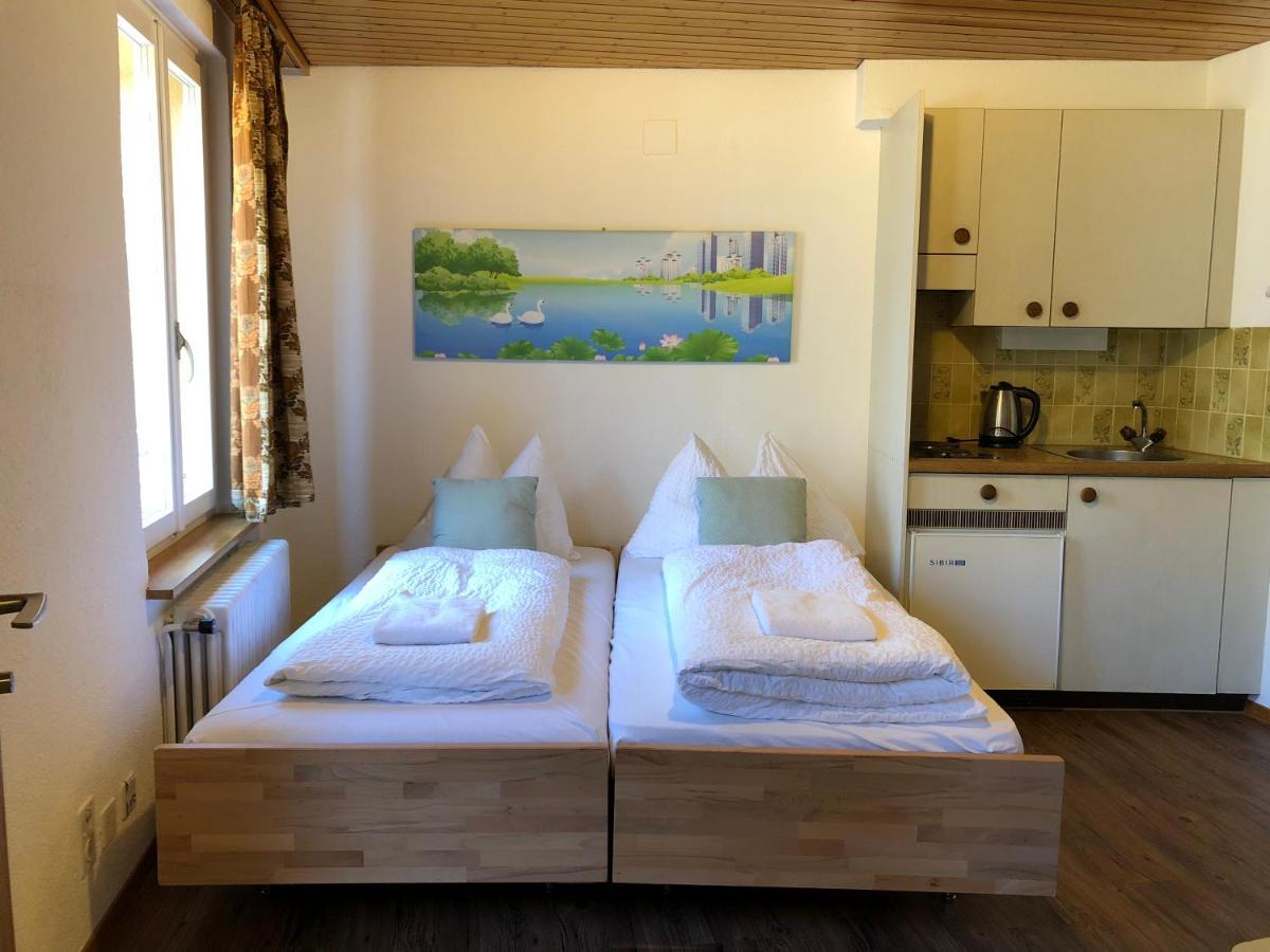 Central Beauty Scenery Apartment อินเทอร์ลาเคน ภายนอก รูปภาพ